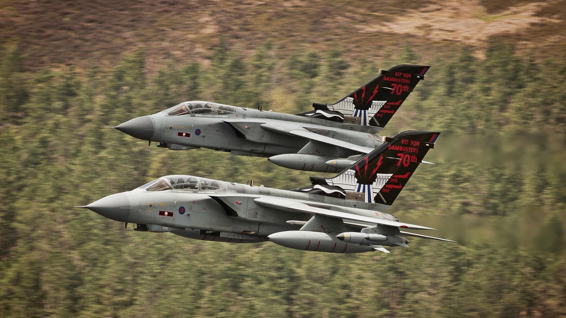 _儿童体育嘉年华：从小培养运动习惯_，体育锻炼儿童